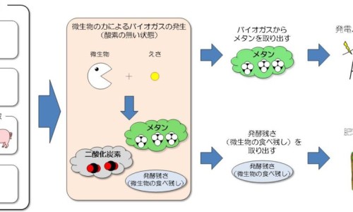 利血君副作用网—知名的利君片的副作用有哪些网站,分享利血君片会导致拉稀吗知识