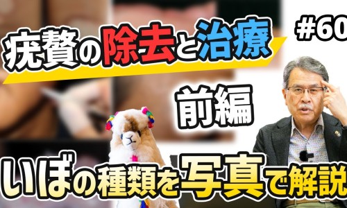 利血君的功效与作用-利血君副作用网—知名的利君片的副作用有哪些网站,分享利血君片会导致拉稀吗知识